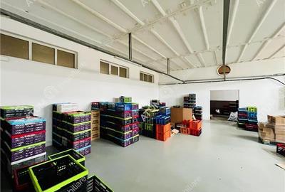 Spatiu industrial cu 2 hale si anexe teren 2543 in Hamba judetul Sibiu - 8