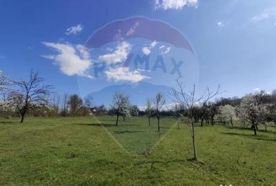 Teren de 1600 mp, în Cărbunari - 4