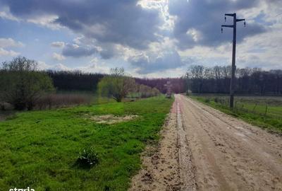 Spațiu comercial, în Buturugeni - 14