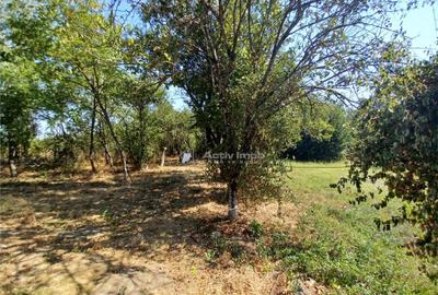 Casa Bila Ghimpati- Giurgiu - 4