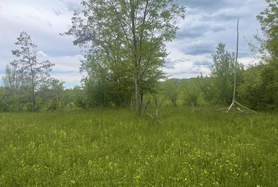 Teren Construcții intravilan de 6762 mp, în Șotrile - 5