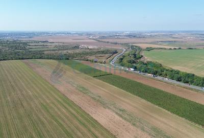 Gaminvest Teren intravilan de vanzare, 66400 mp, langa Oradea, Bihor ,V4117 - 6
