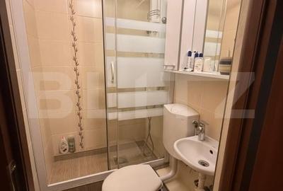 Apartament cu 4 camere semidecomandat, mobilat în Centrul Civic - 10