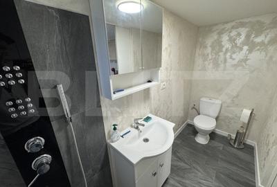 Apartament 2 camere, semidecomandat, curte 50mp Zona Casa Studentilor - 10