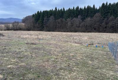 Teren Construcții intravilan de 1030 mp, în Dumbrăvița - 9