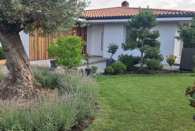 Casă în Sânnicolau Mare - 9