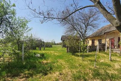 Casă cu 4 camere în Sânpetru Mare - 1