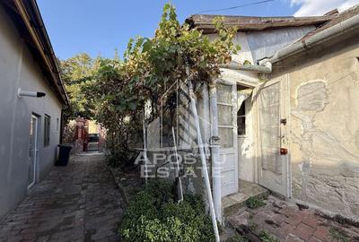 Apartament o camera si anexa, curte 124mp, zona Elisabetin Apartament o camera si anexa, curte 124mp, zona Elisabetin - 2