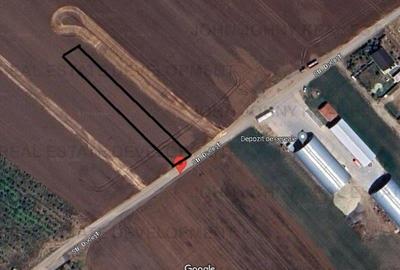 Teren intravilan - agricol - Frumusani - 1