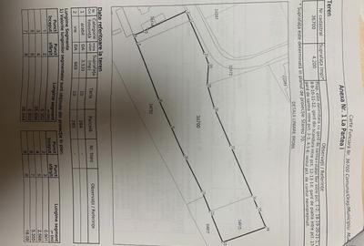 Teren intravilan 4.200 mp Murighiol - 17