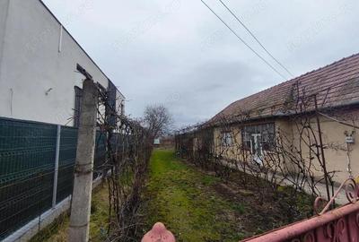 Casă cu 3 camere cu Teren 2000 Mp în Criș - 4