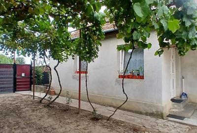 RECO Casa cu teren mare in Diosig - 5