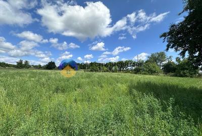 Teren Construcții intravilan de 5654 mp, în Dragomirești - 2