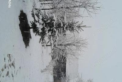 Casă cu 3 camere în Amnaș - 7