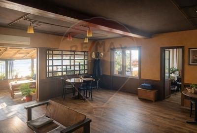 Proprietate specială, de 175 mp, în Inoc - 7