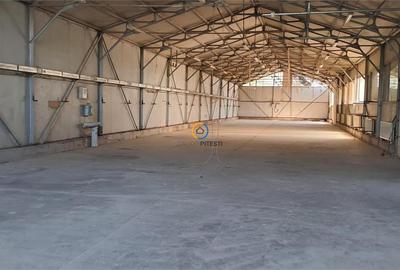 Spațiu industrial, de 300 mp, în Bascov - 2
