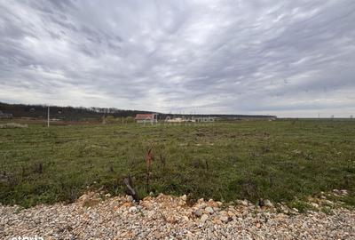 Teren de 500 mp, în Nojorid - 5