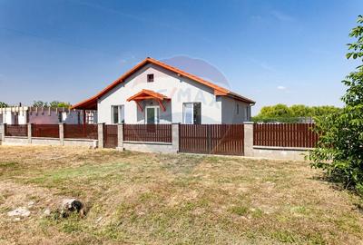 Casa noua si moderna de inchiriat in Loc. Frumuseni