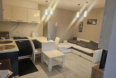 Apartament cu 2 camere semidecomandat în Mehala - 4