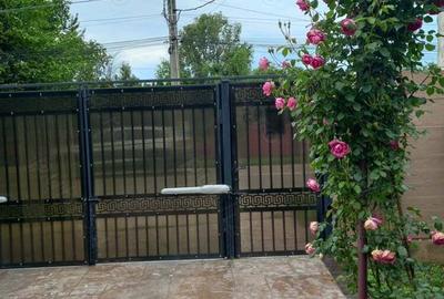 Vand casa Corbeanca - 3