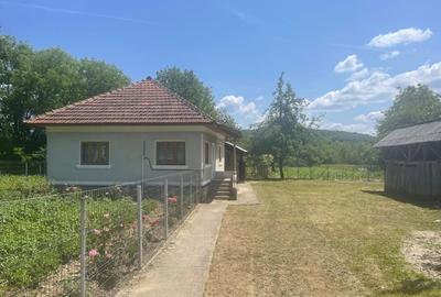 Casă cu 2 camere în Alimpești - 1