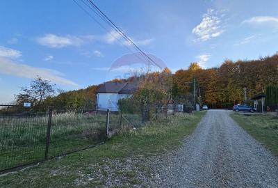 Teren intravilan 1,450mp Ilisesti / DN 17-Suceava - 17