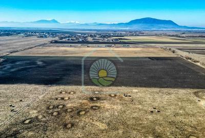 TEREN STUPINI-COMISION 0 - 4