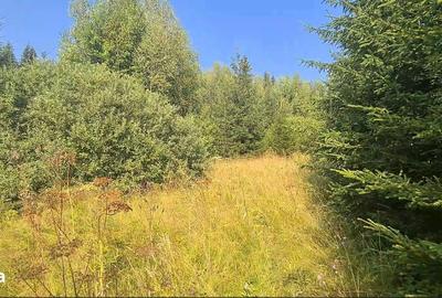 Teren de 6450 mp, în Neagra - 7