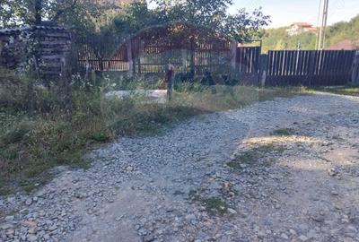 Teren 1,552mp Cicarlau - 5