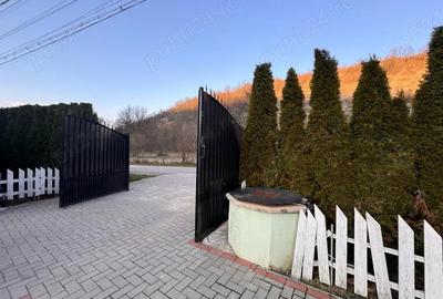 Casă cu Teren 2900 Mp în Trestia - 9