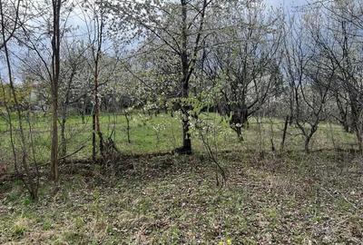 Teren de 1400 mp, în Breaza - 8