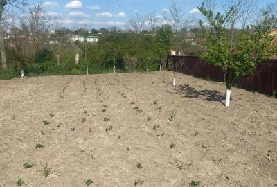 Casă în Central - 5