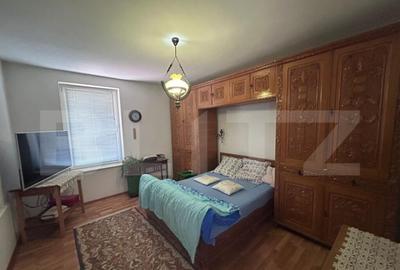 Domeniu de vanzare cu 17.000 mp teren, sat Oboga - 4