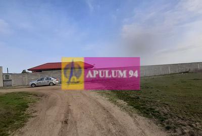 Parcela langa padure in Ilfov - 4