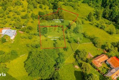 Spațiu comercial, în Bran - 7