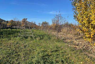 Spațiu comercial, în Mușătești - 2