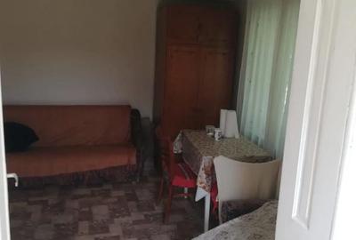 Teren de 5000 mp, în Pălatca - 4