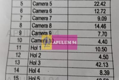 Vila P+1+pod- Parcul Ioanid - 12