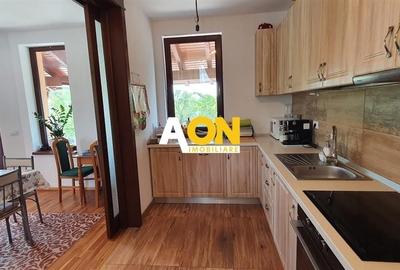 Casa parter+demisol, 1200 mp teren, pretabila pt 2 familii, Sard - 9