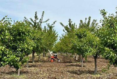 Teren de 50 mp, în Central - 4