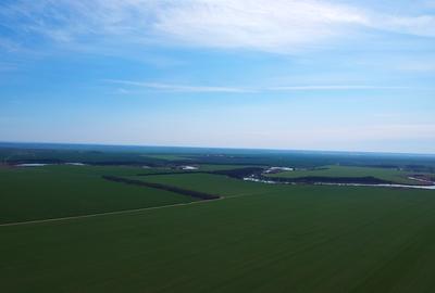 Teren Construcții intravilan de 69000 mp, în Frumușani - 2