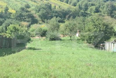 Teren de 1600 mp, în Central