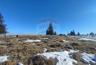 Teren  extravilan - 11