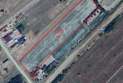 Teren de 6840 mp, în Cionchești - 5