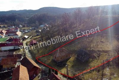 Teren de vanzare in comuna Cicane?ti, sat Cicane?ti, Jude? Arge?. - 4