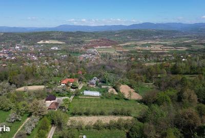 Spațiu comercial, în Copalnic - 5
