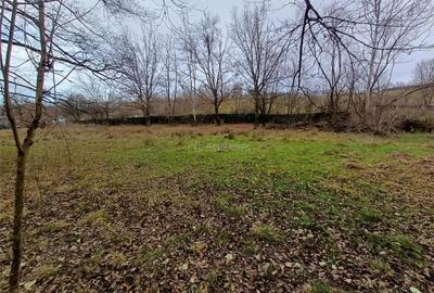 Resita, Teren Drept Intravilan, Langa Prau si Drum, Parcelabil, 4500 Mp., 15 Euro Mp., Renk - 11