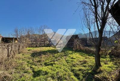 Casă individuală cu 2 camere cu Canalizare în Buia - 13