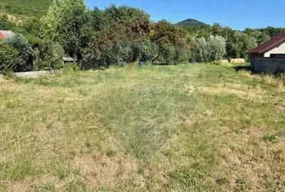 Teren de 3154 mp, în Bârsana - 6