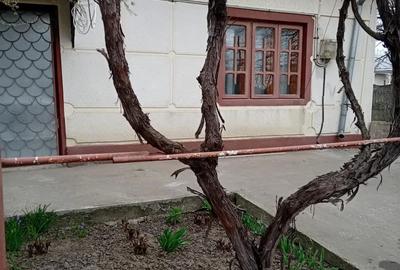 Casă cu Teren 824 Mp în Central - 5